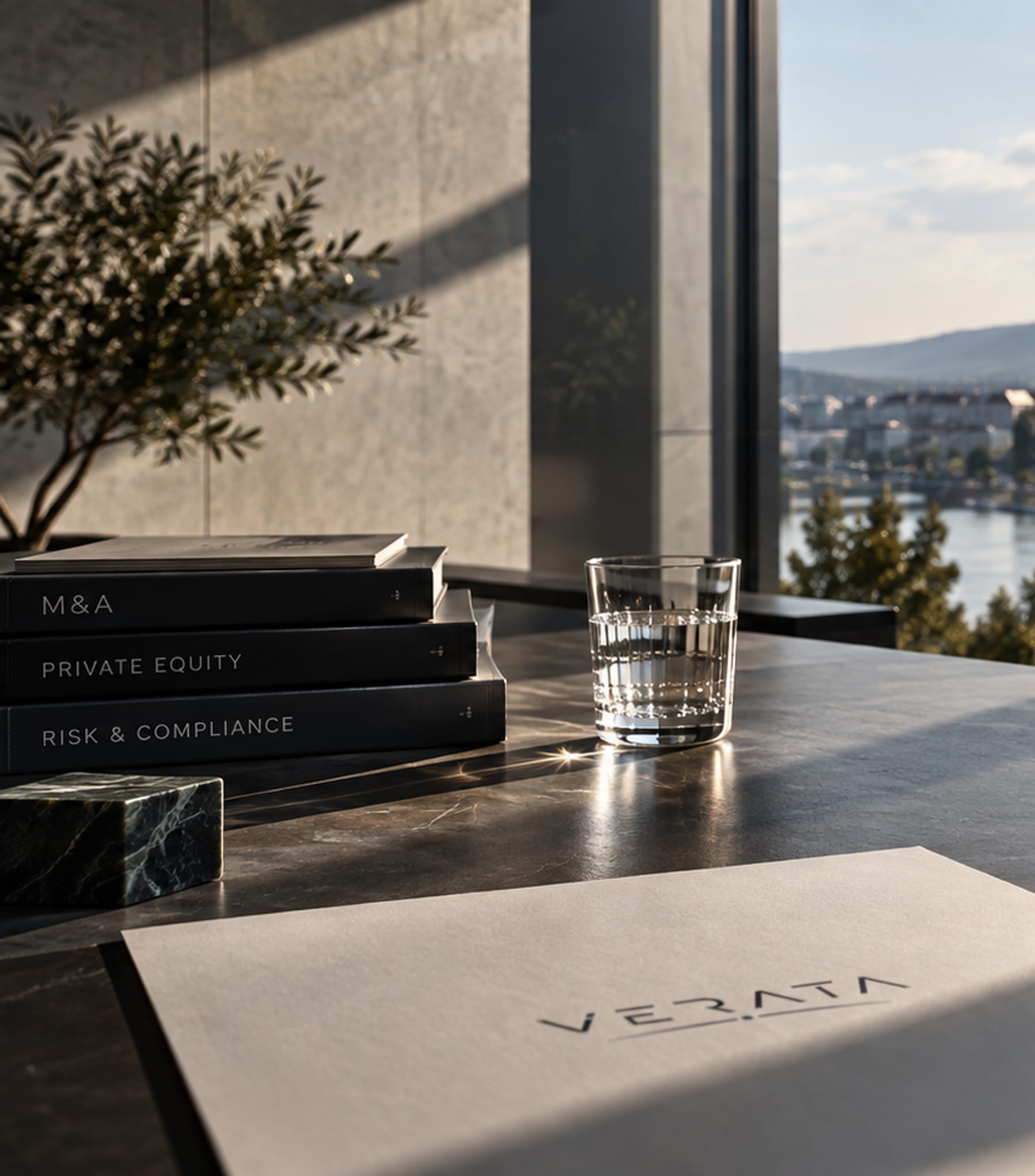 A meeting room above the Danube, a VERATA folder and M&A books on the table